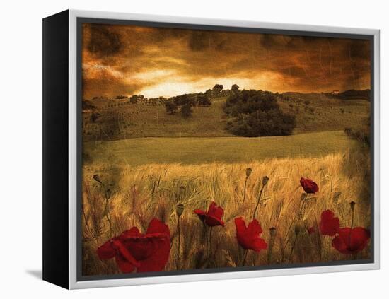 Giardino Sole-Fabio Panichi-Framed Premier Image Canvas