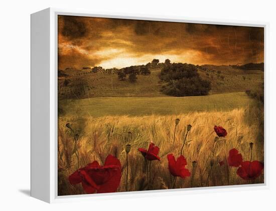 Giardino Sole-Fabio Panichi-Framed Premier Image Canvas