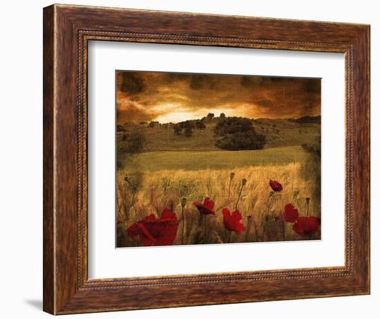 Giardino Sole-Fabio Panichi-Framed Photographic Print