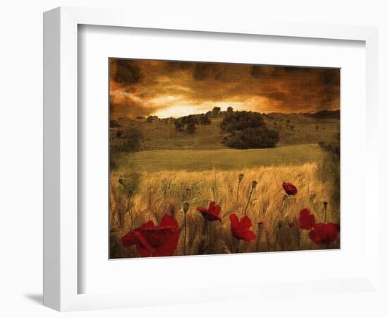 Giardino Sole-Fabio Panichi-Framed Photographic Print