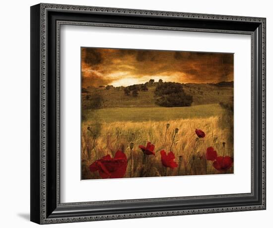 Giardino Sole-Fabio Panichi-Framed Photographic Print