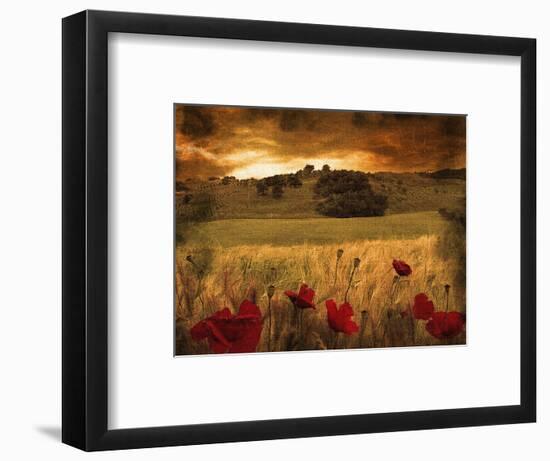 Giardino Sole-Fabio Panichi-Framed Photographic Print