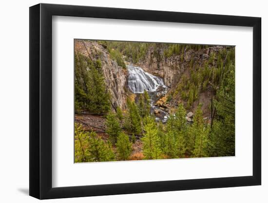 Gibbon Falls, Yellowstone National Park.-Adam Jones-Framed Photographic Print