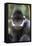 Gibbon Up Close-Lantern Press-Framed Stretched Canvas