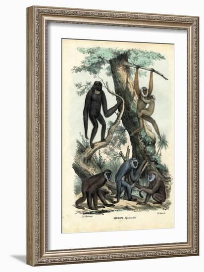 Gibbons, 1863-79-Raimundo Petraroja-Framed Giclee Print