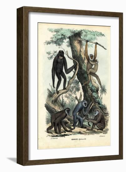 Gibbons, 1863-79-Raimundo Petraroja-Framed Giclee Print