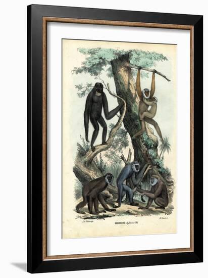 Gibbons, 1863-79-Raimundo Petraroja-Framed Giclee Print