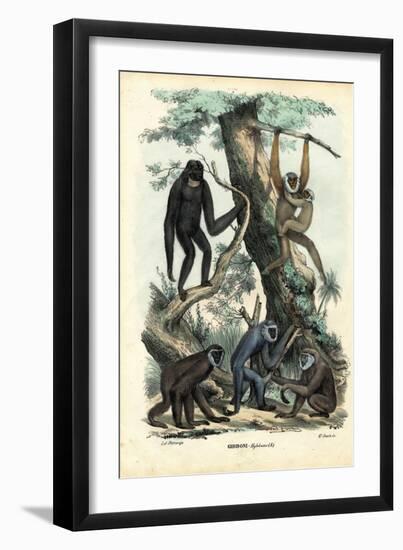 Gibbons, 1863-79-Raimundo Petraroja-Framed Giclee Print