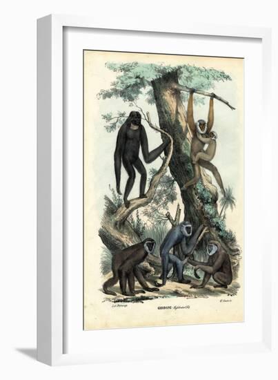 Gibbons, 1863-79-Raimundo Petraroja-Framed Giclee Print