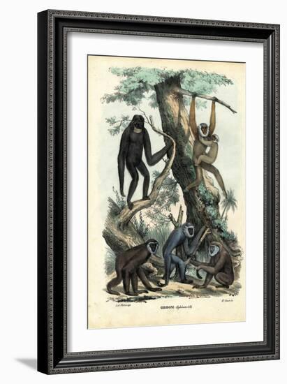 Gibbons, 1863-79-Raimundo Petraroja-Framed Giclee Print