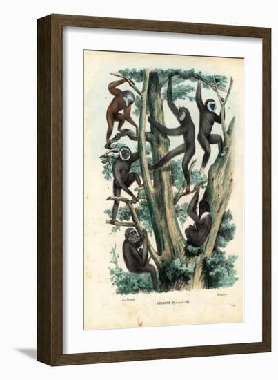 Gibbons, 1863-79-Raimundo Petraroja-Framed Giclee Print