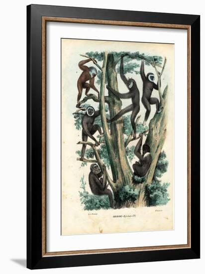 Gibbons, 1863-79-Raimundo Petraroja-Framed Giclee Print