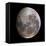 Gibbous Moon-null-Framed Stretched Canvas