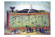 The Aquarium-Gibson & Co-Stretched Canvas