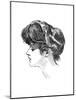 Gibson: Gibson Girl, C. 1904-Charles Dana Gibson-Mounted Giclee Print