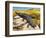 Gidgee Spiny-Tailed Skink or Stoke's Skink (Egernia Stokesii), Scincidae-null-Framed Giclee Print