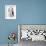 Gidget, James Darren, Sandra Dee, Cliff Robertson, 1961-null-Framed Photo displayed on a wall