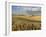 Gield of 6 Row Barley Ripening in the Afternoon Sun, Spokane County, Washington, Usa-Greg Probst-Framed Photographic Print