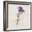 Gift Flower I-Bill Philip-Framed Giclee Print