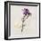 Gift Flower I-Bill Philip-Framed Giclee Print