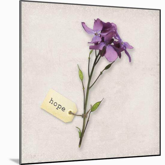 Gift Flower I-Bill Philip-Mounted Giclee Print