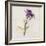 Gift Flower I-Bill Philip-Framed Giclee Print