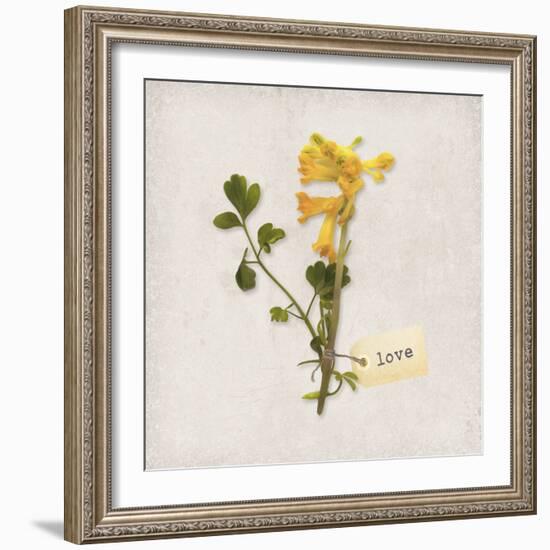 Gift Flower II-Bill Philip-Framed Giclee Print