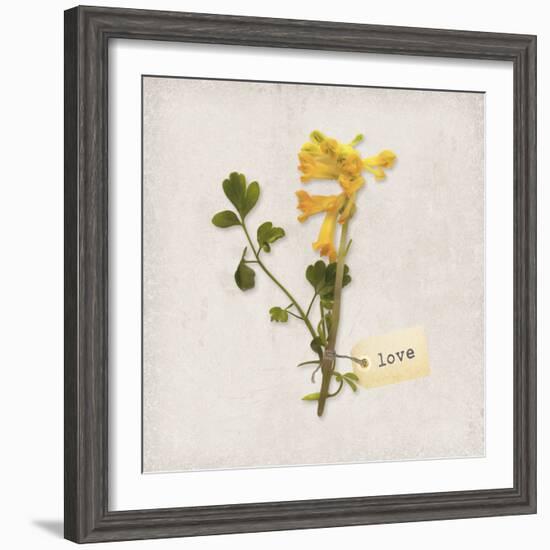 Gift Flower II-Bill Philip-Framed Giclee Print