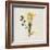 Gift Flower II-Bill Philip-Framed Giclee Print