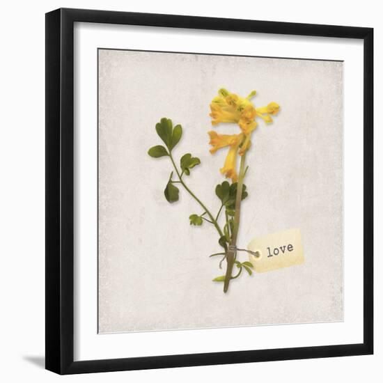 Gift Flower II-Bill Philip-Framed Giclee Print