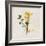 Gift Flower II-Bill Philip-Framed Giclee Print