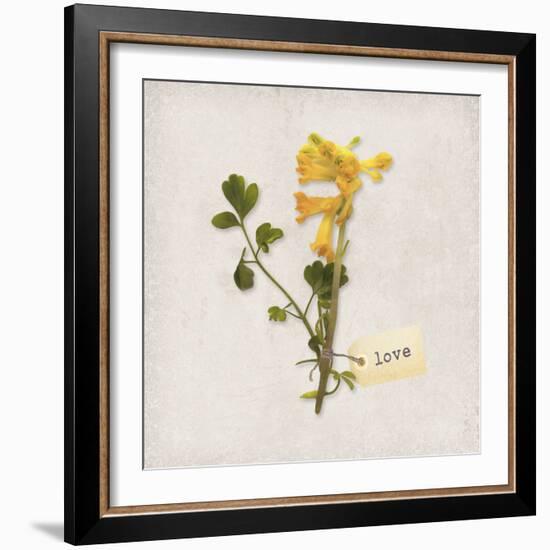 Gift Flower II-Bill Philip-Framed Giclee Print