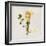 Gift Flower II-Bill Philip-Framed Giclee Print