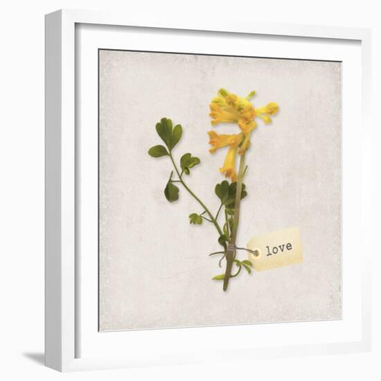 Gift Flower II-Bill Philip-Framed Giclee Print