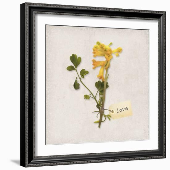 Gift Flower II-Bill Philip-Framed Giclee Print