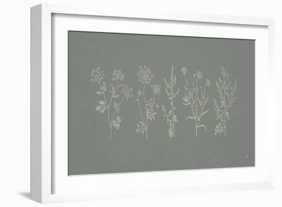 Gifts from the Meadow I Sage-Sarah Adams-Framed Art Print