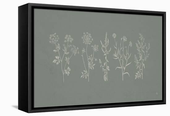 Gifts from the Meadow I Sage-Sarah Adams-Framed Stretched Canvas