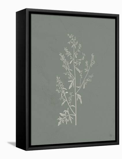 Gifts from the Meadow II Sage-Sarah Adams-Framed Stretched Canvas