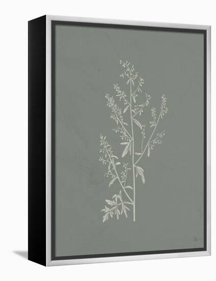 Gifts from the Meadow II Sage-Sarah Adams-Framed Stretched Canvas