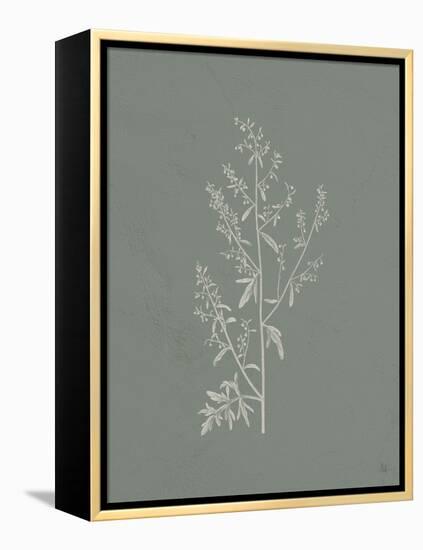 Gifts from the Meadow II Sage-Sarah Adams-Framed Stretched Canvas