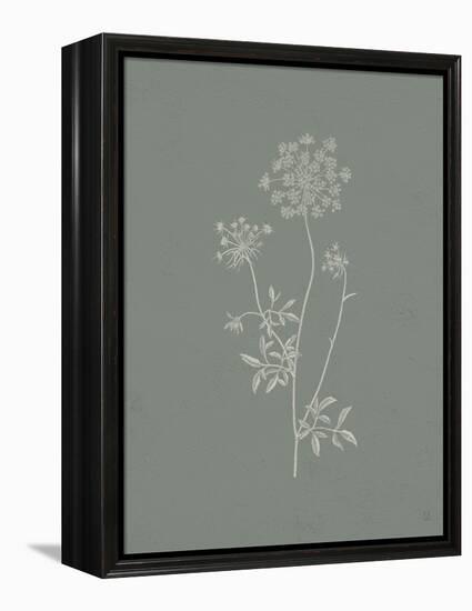 Gifts from the Meadow III Sage-Sarah Adams-Framed Stretched Canvas