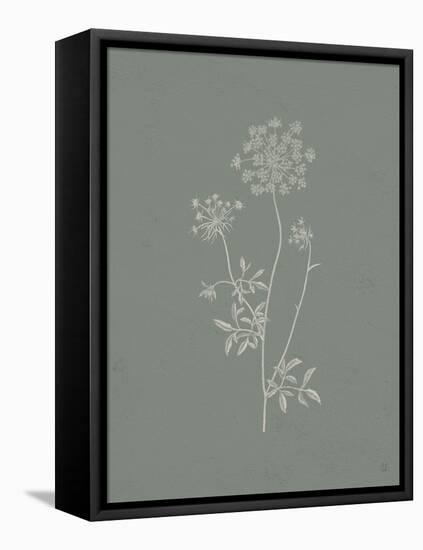 Gifts from the Meadow III Sage-Sarah Adams-Framed Stretched Canvas