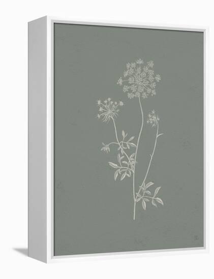 Gifts from the Meadow III Sage-Sarah Adams-Framed Stretched Canvas