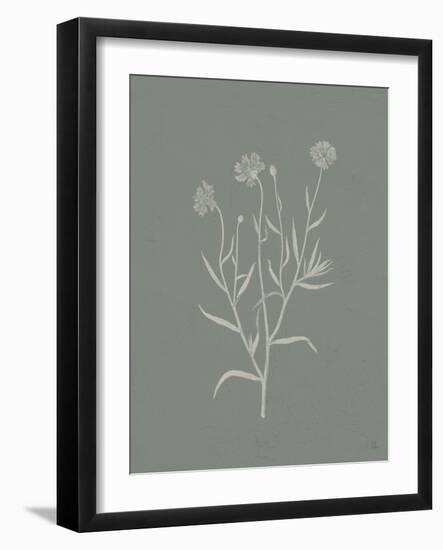Gifts from the Meadow V Sage-Sarah Adams-Framed Art Print
