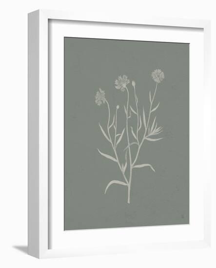 Gifts from the Meadow V Sage-Sarah Adams-Framed Art Print