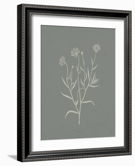 Gifts from the Meadow V Sage-Sarah Adams-Framed Art Print