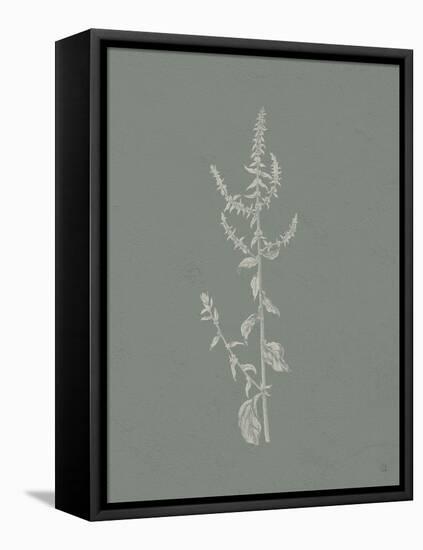 Gifts from the Meadow VI Sage-Sarah Adams-Framed Stretched Canvas