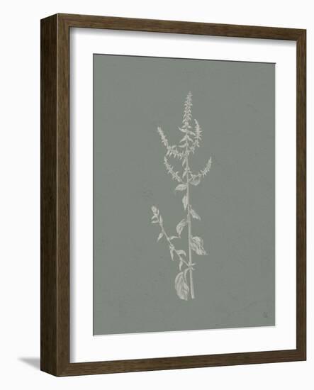 Gifts from the Meadow VI Sage-Sarah Adams-Framed Art Print