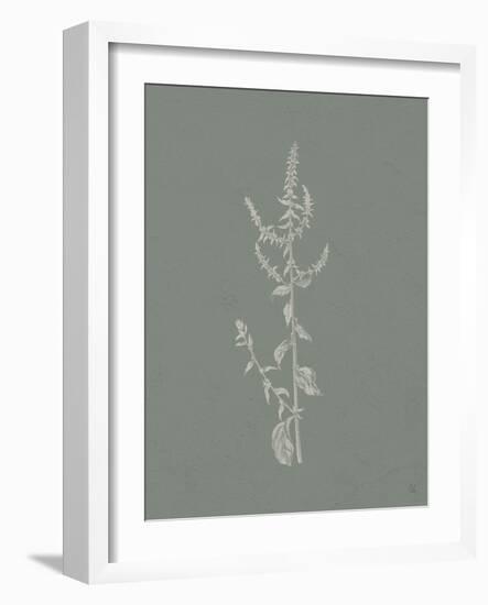 Gifts from the Meadow VI Sage-Sarah Adams-Framed Art Print