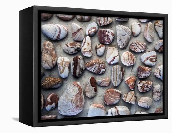 Gifts of the Earth I-Elena Ray-Framed Premier Image Canvas